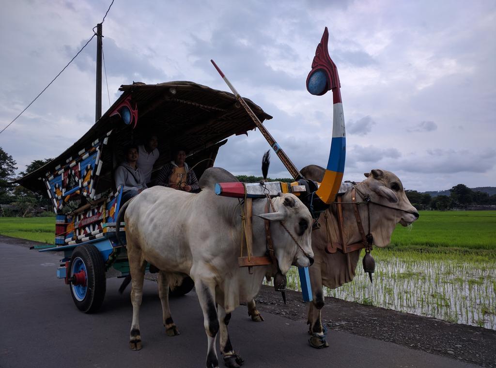 Joglo Ayem Tentrem Prambanan Exterior foto